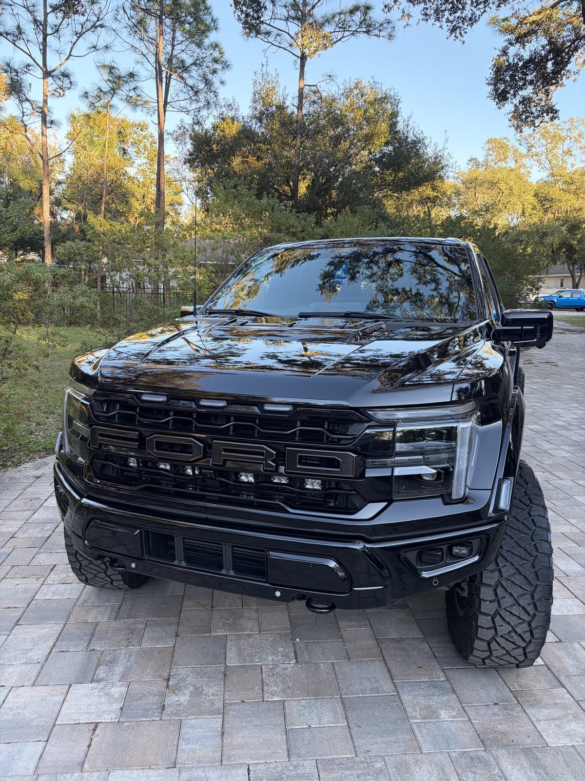 Exterior Detail — Ford Raptor
